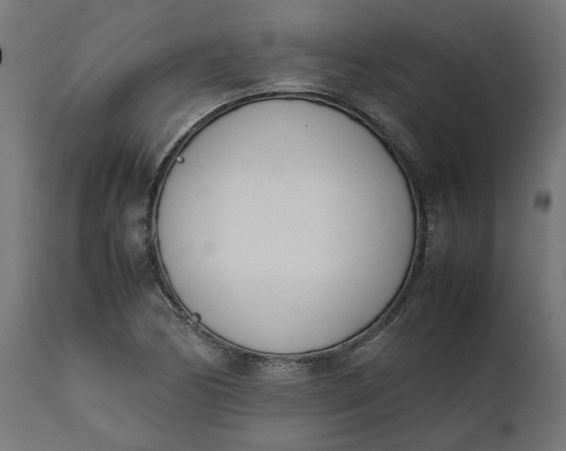 X0000111491170200907281220