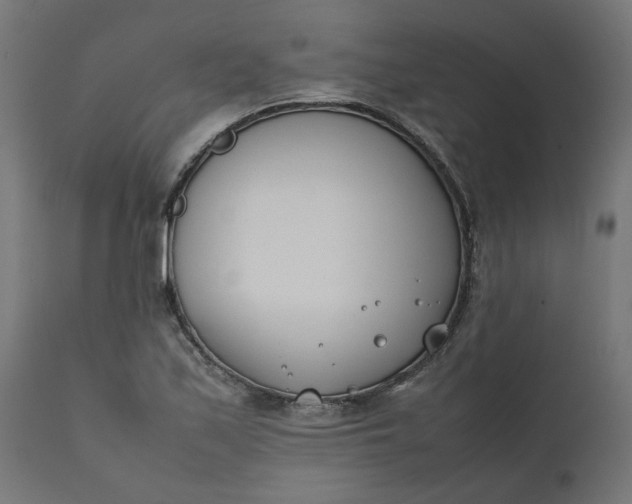 X0000111491171200907281220