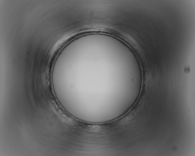 X0000111491172200907281220