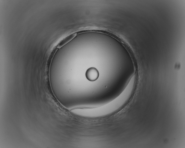 X0000111491173200907281220