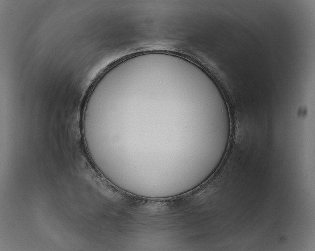 X0000111491174200907281220