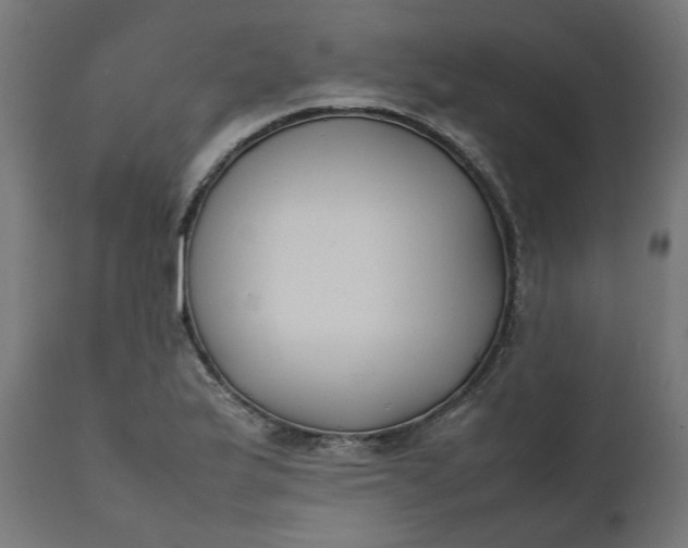 X0000111491175200907281220