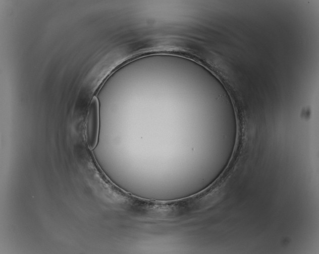 X0000111491177200907281220