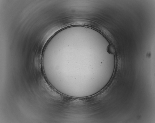 X0000111491178200907281220