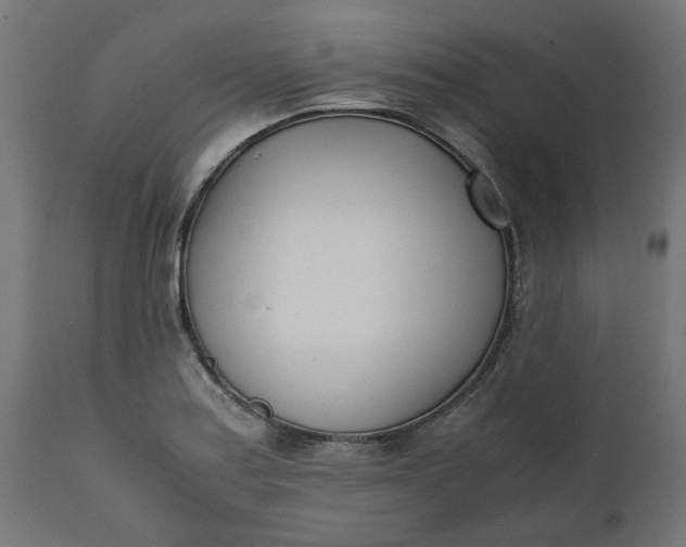 X0000111491179200907281220