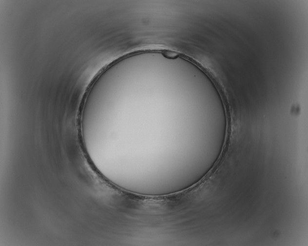 X0000111491181200907281220