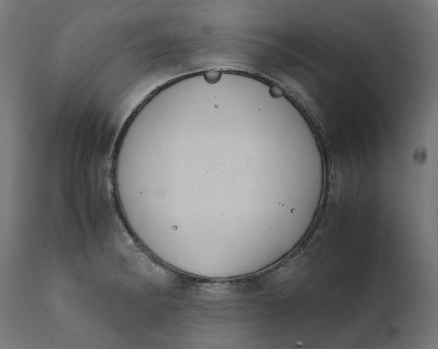 X0000111491182200907281220