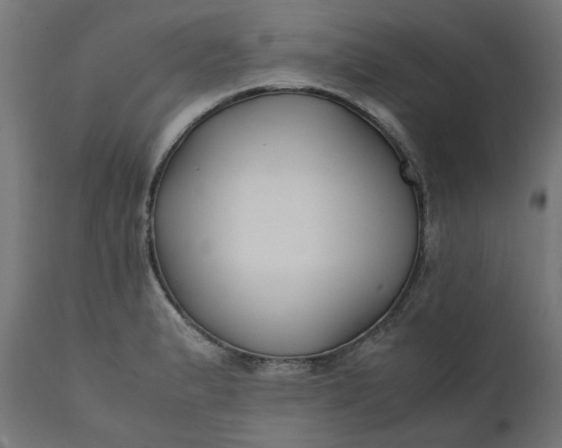 X0000111491183200907281220