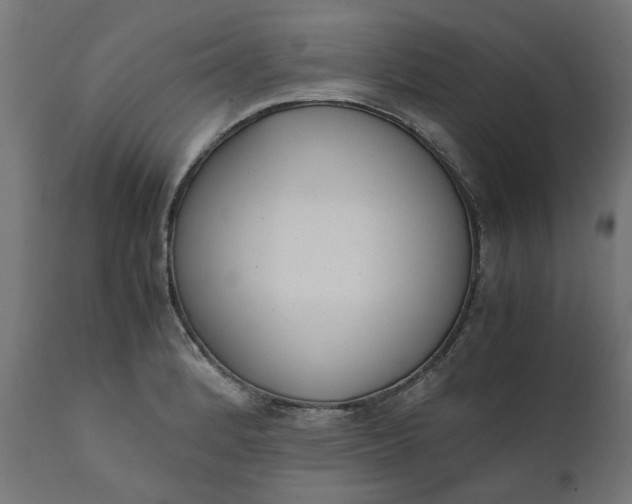 X0000111491184200907281219