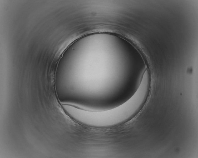 X0000111491185200907281219