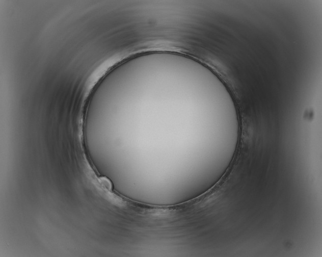 X0000111491188200907281219