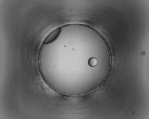 X0000111491189200907281219