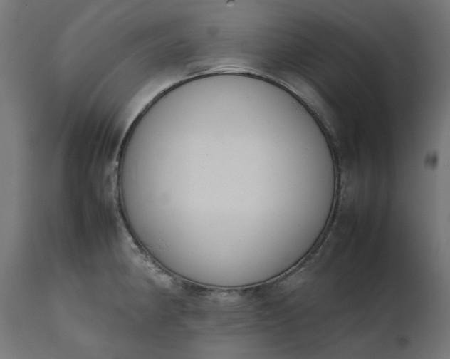 X0000111491190200907281219