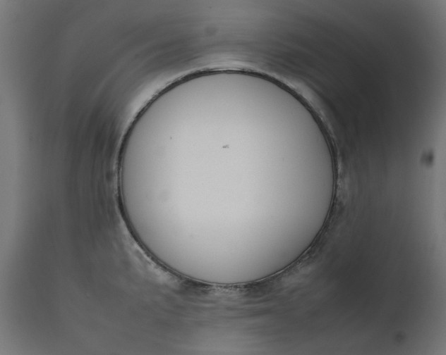 X0000111491191200907281219