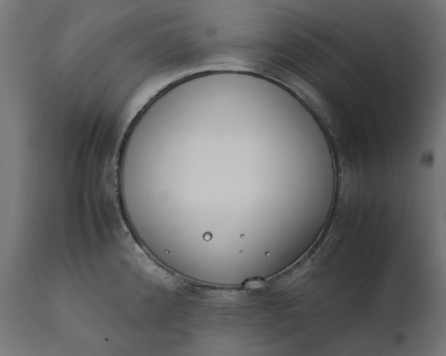 X0000111491192200907281219