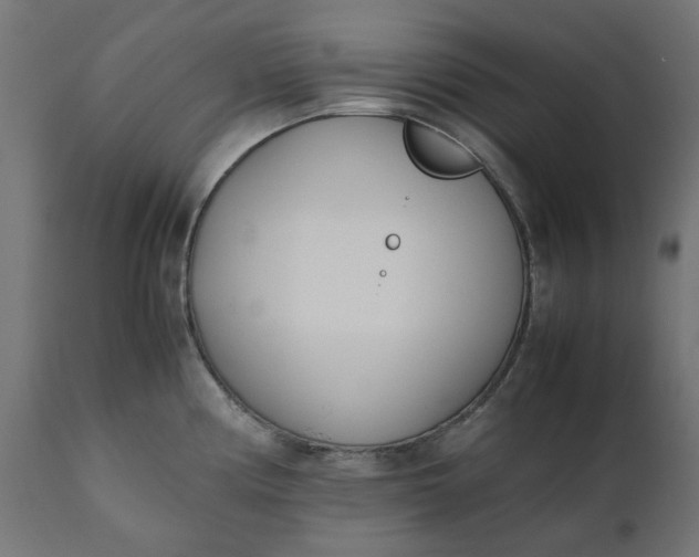 X0000111491194200907281219