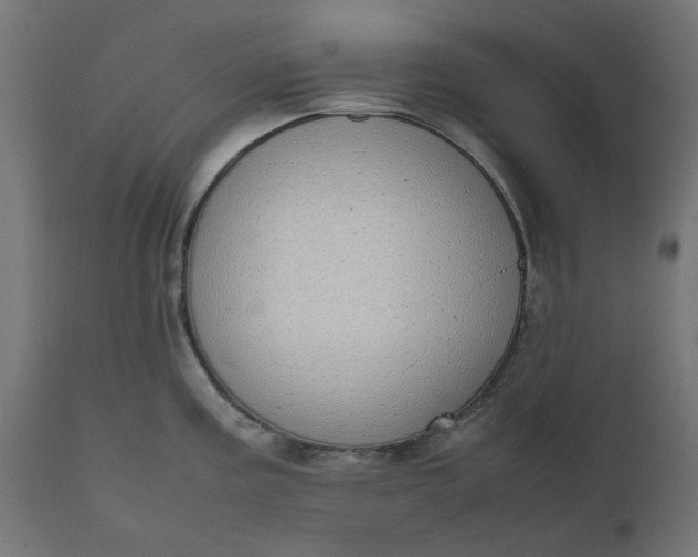 X0000111491195200907281219