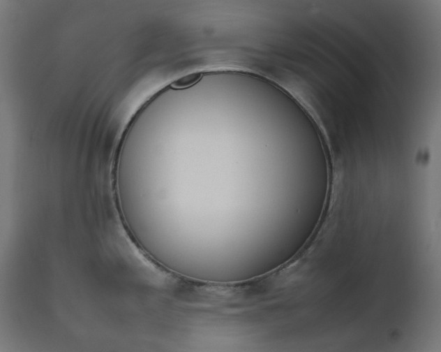 X0000111491197200907281219