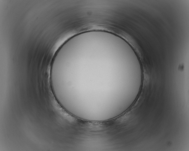 X0000111491198200907281219