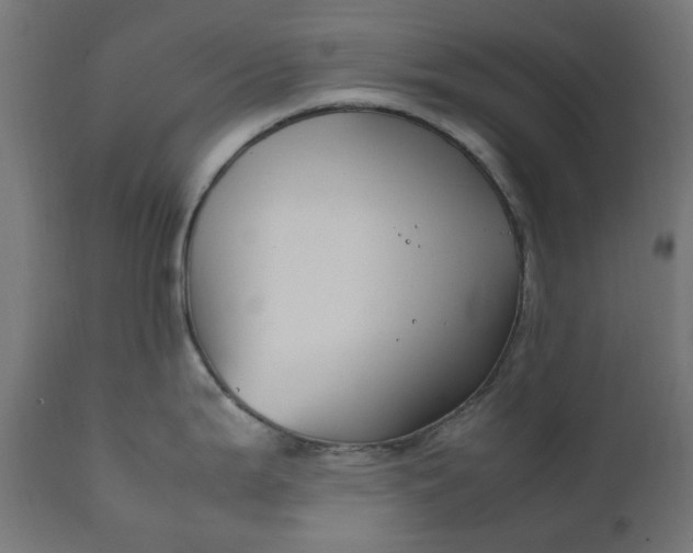 X0000111491199200907281219