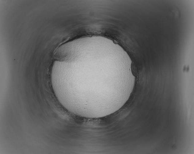 X0000111491201200907281218