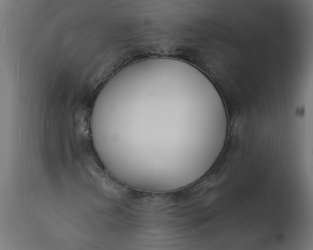 X0000111491202200907281218