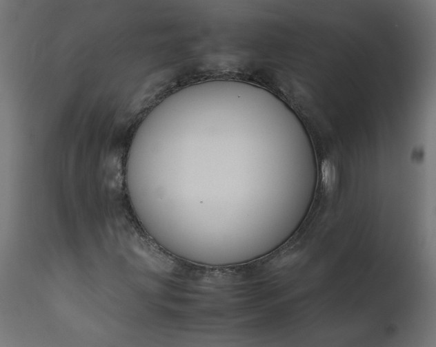 X0000111491203200907281218