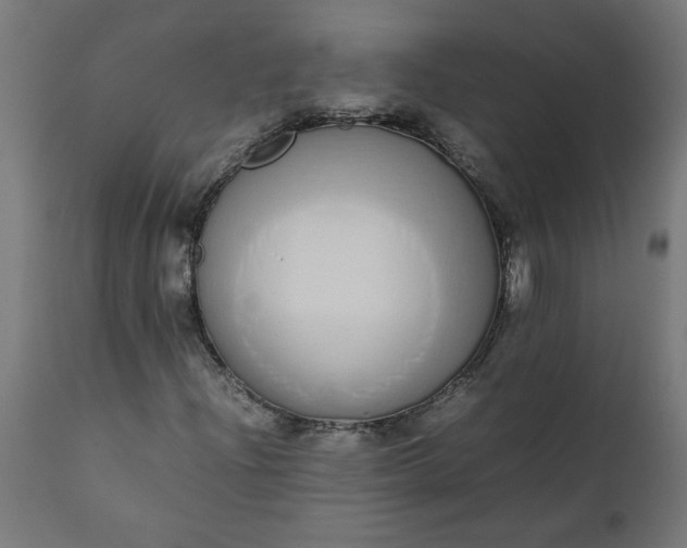 X0000111491204200907281218