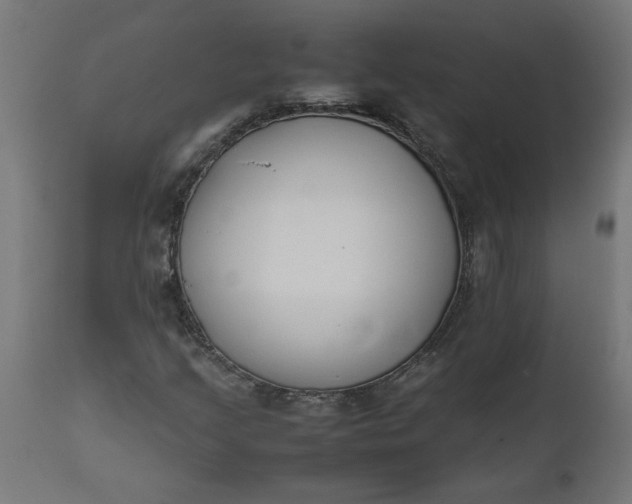 X0000111491205200907281219