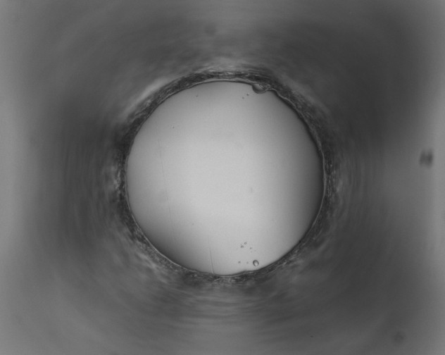 X0000111491206200907281219