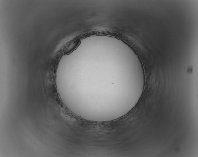 X0000111491207200907281219