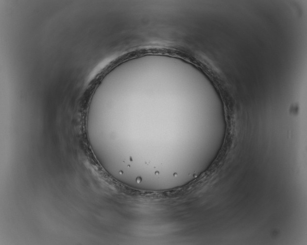 X0000111491208200907281219