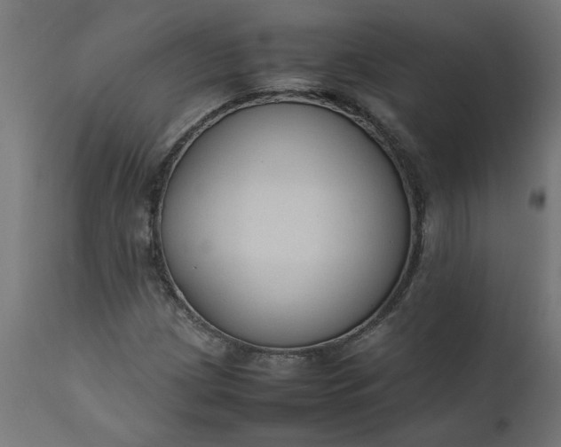 X0000111491209200907281219