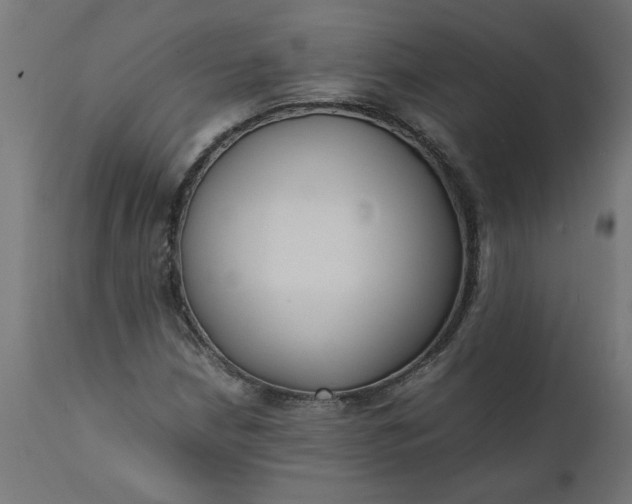 X0000111491210200907281219