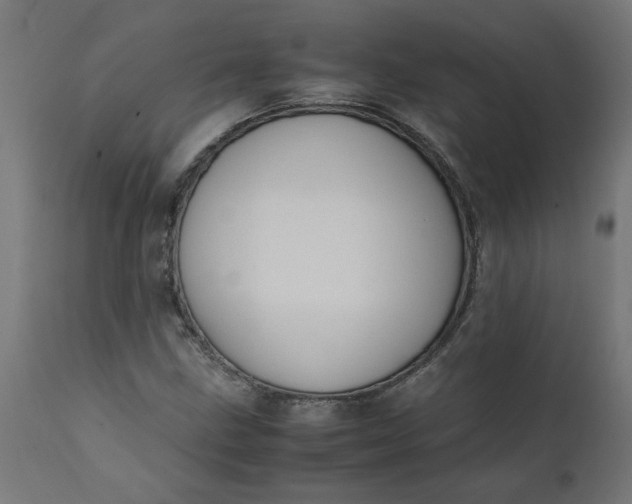 X0000111491211200907281219