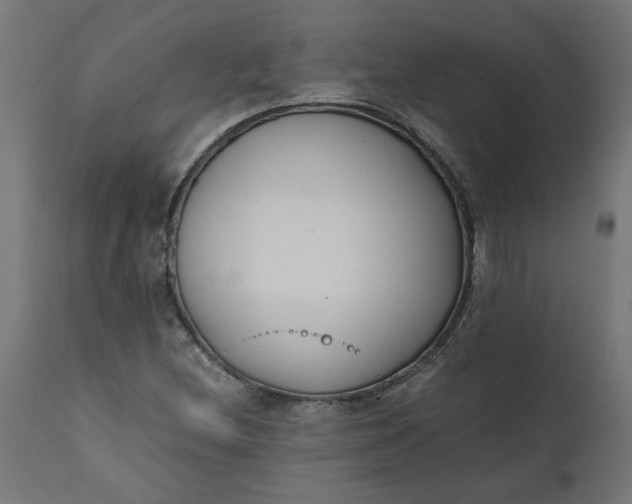 X0000111491212200907281219