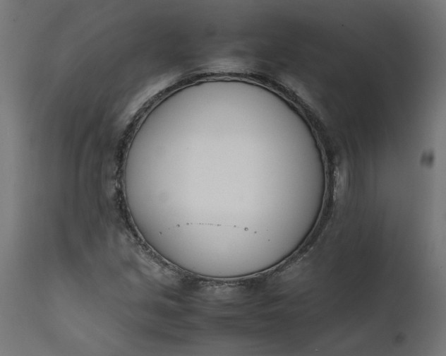 X0000111491213200907281219