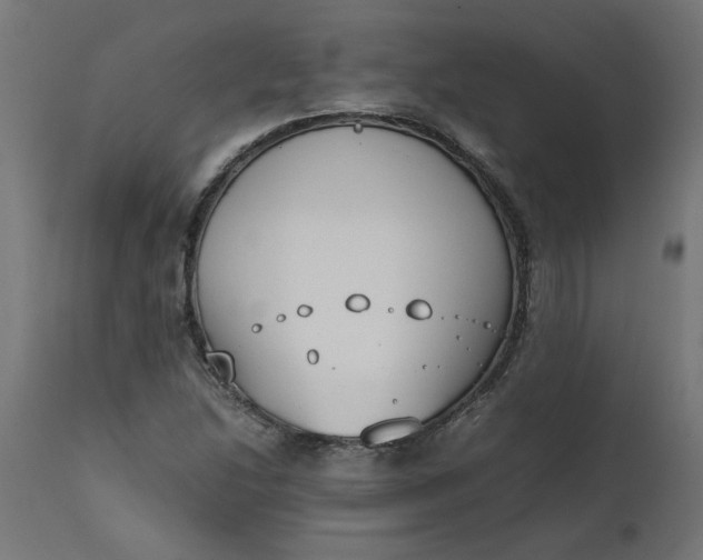 X0000111491214200907281219