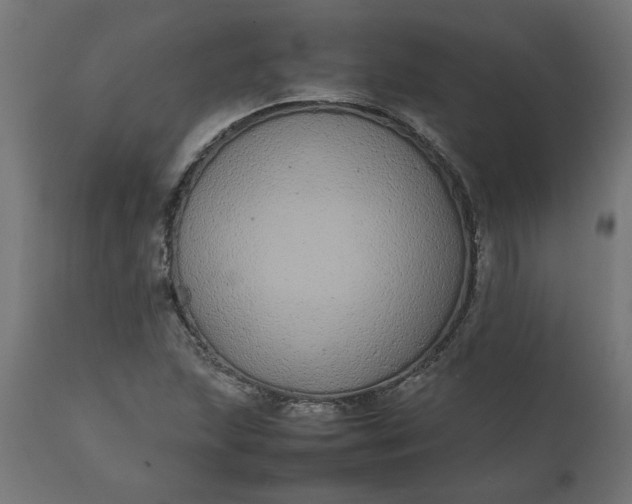 X0000111491215200907281219