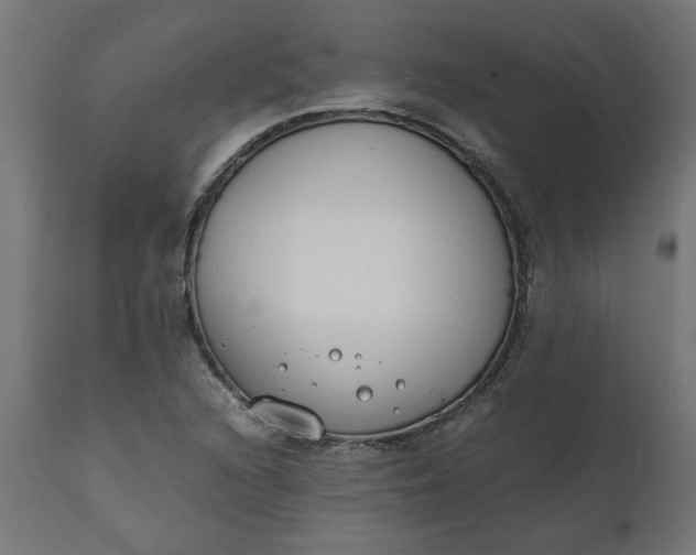 X0000111491216200907281219