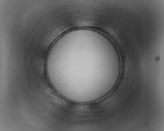 X0000111491217200907281219