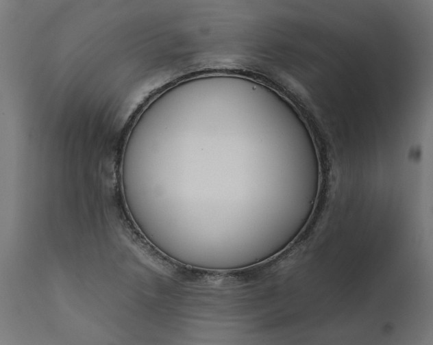 X0000111491218200907281219