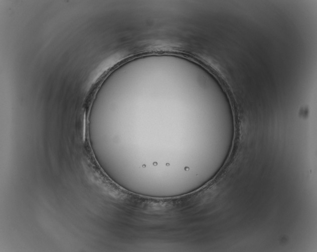 X0000111491219200907281219