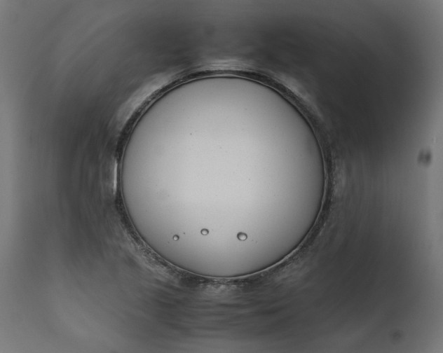 X0000111491221200907281219