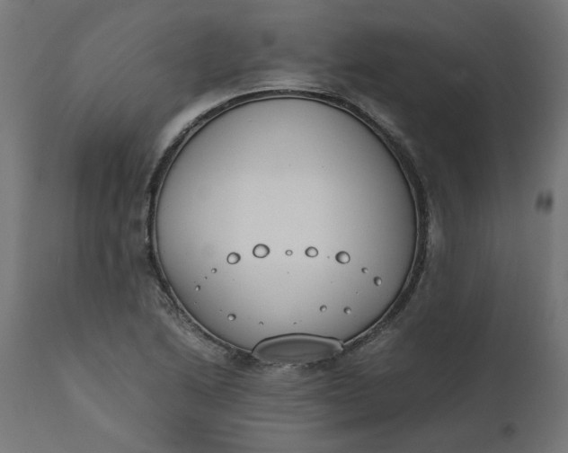 X0000111491222200907281219