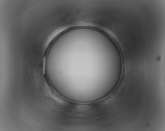 X0000111491223200907281219