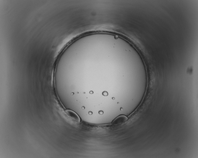 X0000111491224200907281219