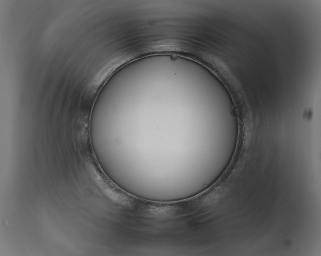 X0000111491225200907281219