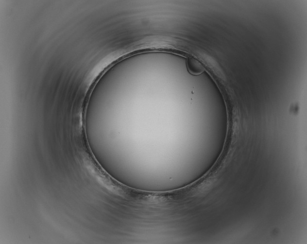 X0000111491226200907281219