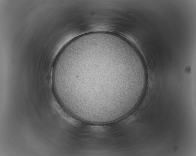 X0000111491227200907281219